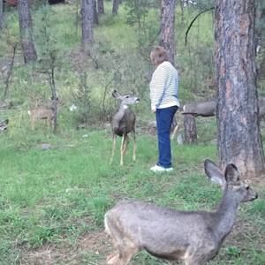 Meet your Posher, Dawn